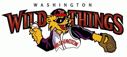 Washington Wild Things 2002-Pres Wordmark Logo iron on transfers for T-shirts